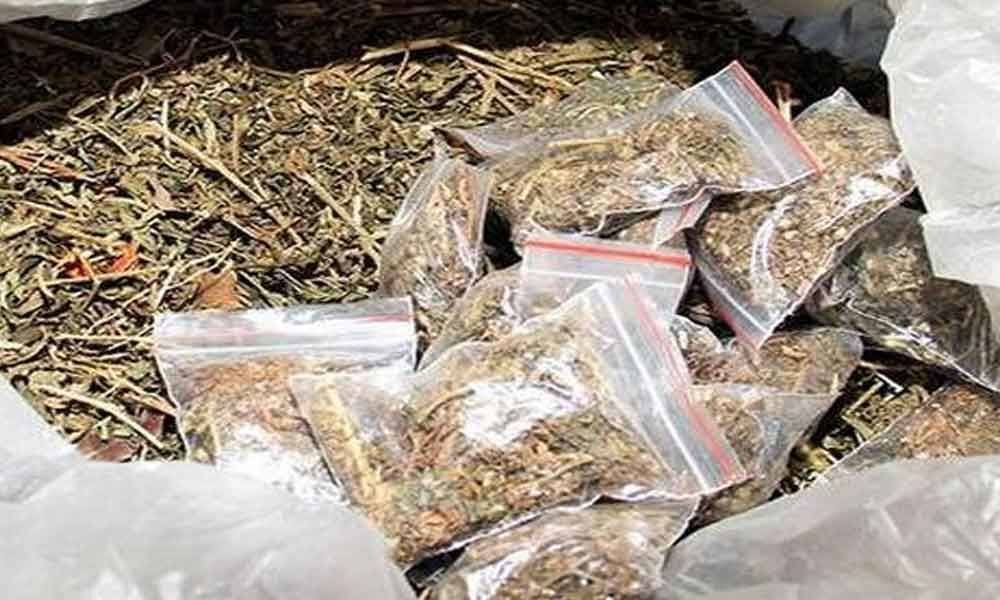 Two held, Rs 14 lakh worth dry ganja seized in Uppal