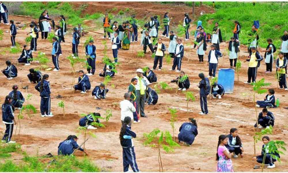 GHMC settles for 1.5 cr saplings target