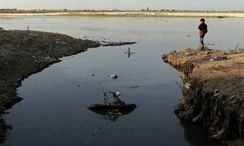 Gangas Faecal Coliform Level 3-12 Times Higher Than Limit: Green Court