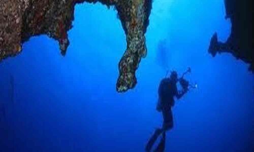 Explore the ocean depths