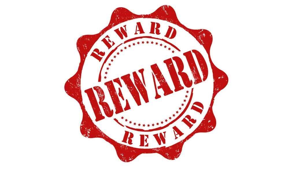 Dont reward criminals