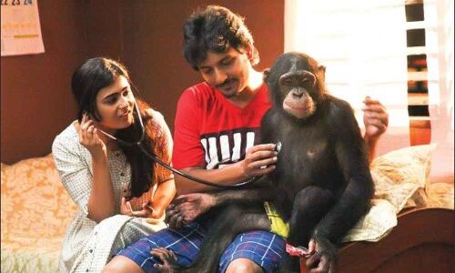 Shalini Pandeys Gorilla  on June 21