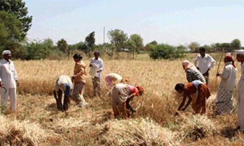 Hike farmer income support, says Ficci