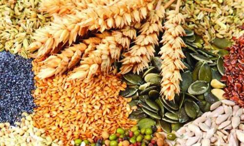 Gadwal SP warns of invoking Preventive Detention Act against spurious seed sellers in Gadwal