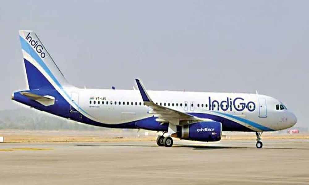 IndiGo forecasts strong year as Jet collapse boosts profit