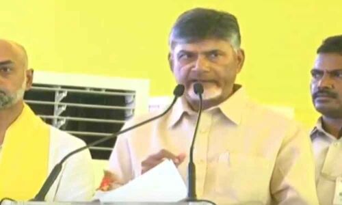 Chandrababu Naidu interesting comments during NTR Jayanthi celebrations