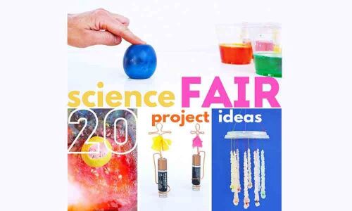 middle school students