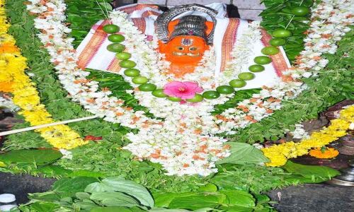 Special pujas performed to Lord Anjaneya