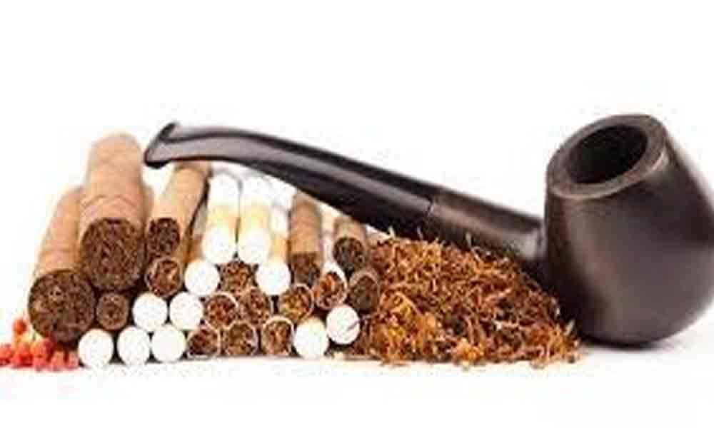 Tobacco sector major contributor to GDP
