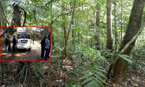 Forest Dept Higher officials spoken to DGP and Dist SP For Strict Action