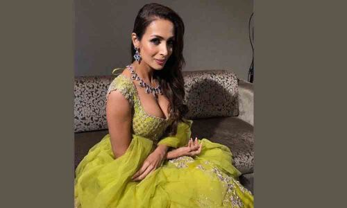 Malaika mobbed by selfie-seeking fans