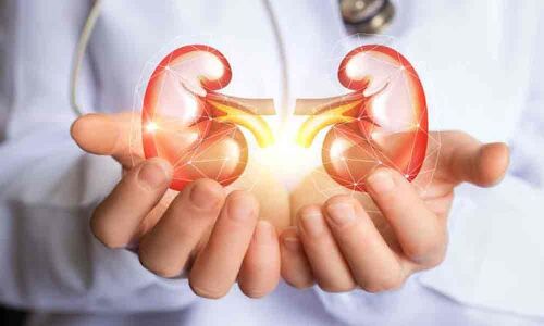 Kidney swap unites Hindu, Muslim families