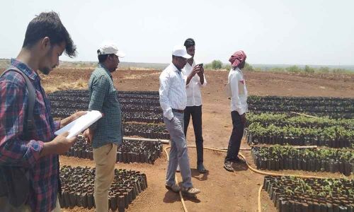 MPDO inspects nurseries