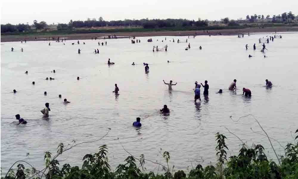 Villagers loot 25 lakh worth fish from Kandibanda pond