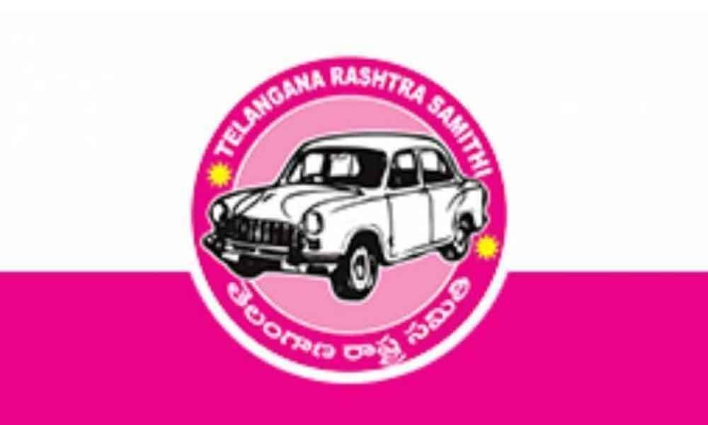 TRS local bodies representatives back from holidaying to cast votes in polls