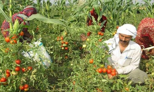 Government to fast-track research infra to benefit farmers