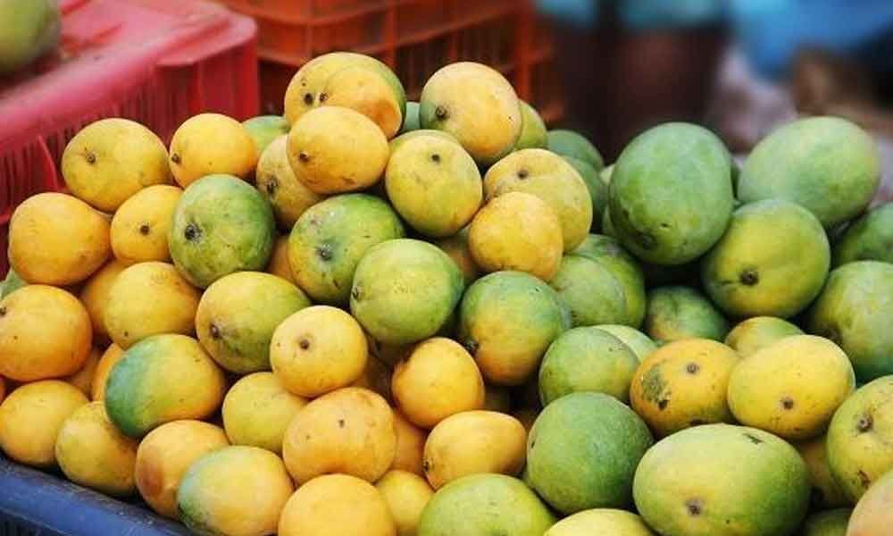 Man lynched for plucking mangoes in East Godavari district