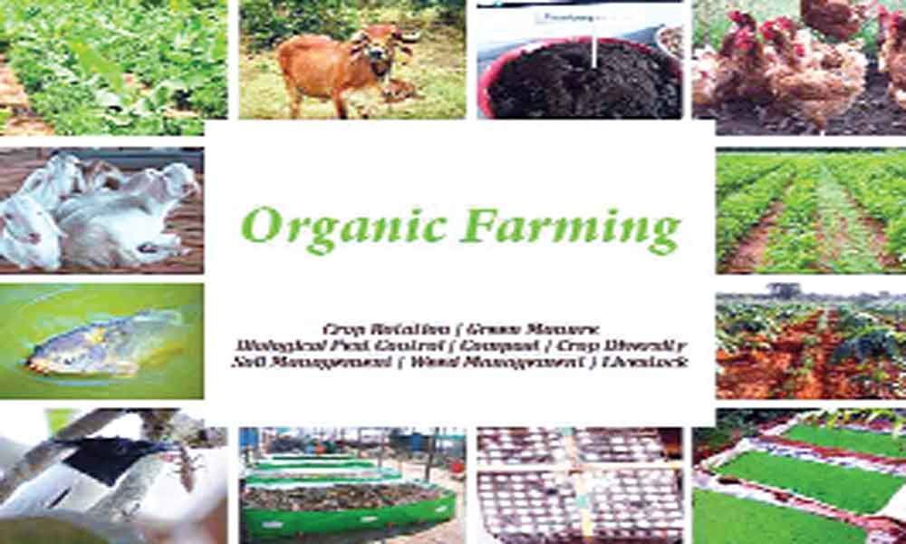 Farmers told to focus on organic farming