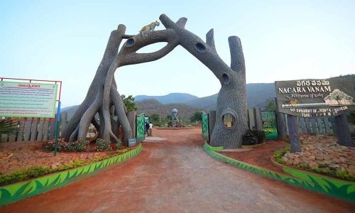 Mamillapalli turning as entertainment hub