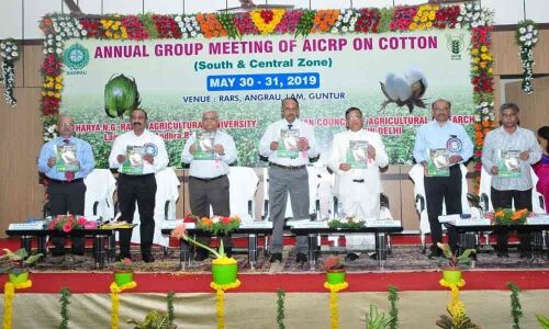 Need to introduce drip irrigation in cotton cultivation