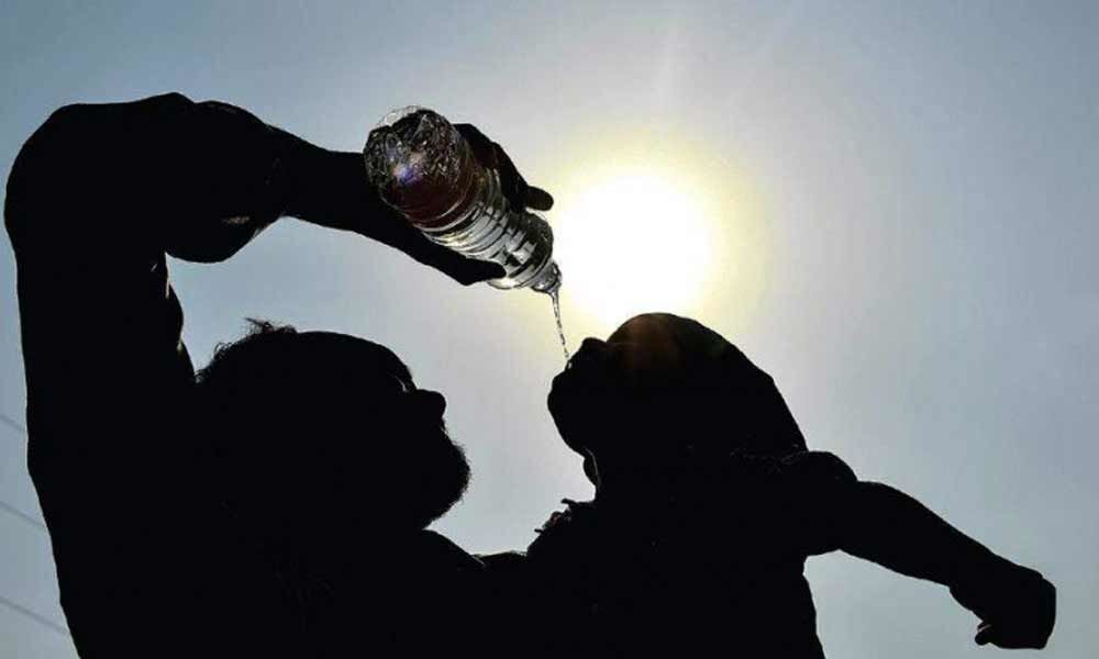 Rajasthan sizzles under intense heat, Churu records max temp of 50.8 degrees