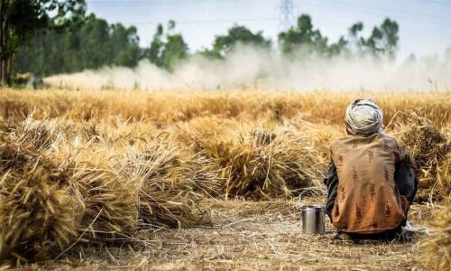 Environmental charter for new government