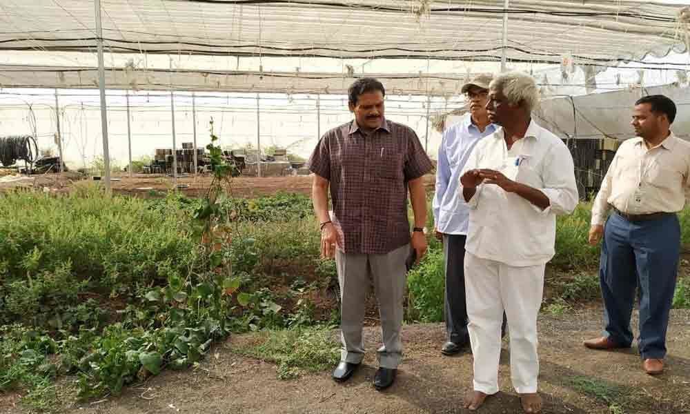 APSSDC to train farmers on commercial crops