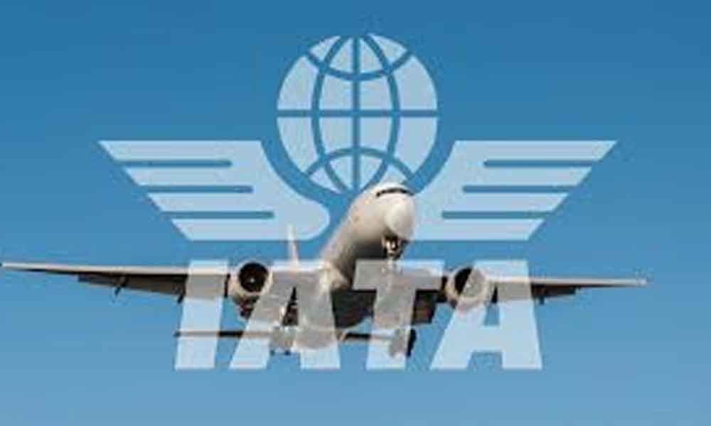 Global airline body IATA warns of US-China trade war spillover