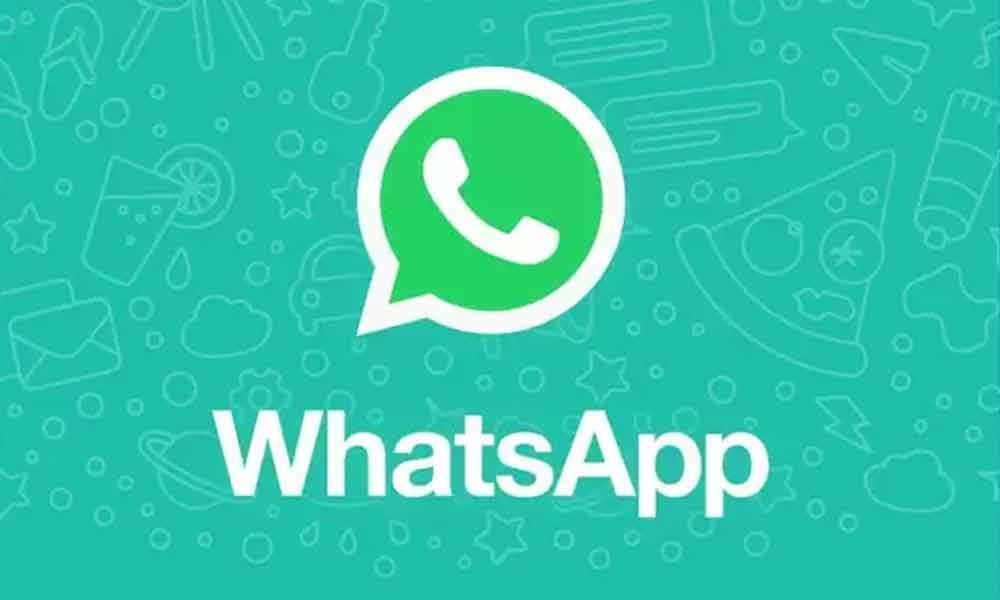 Whatsapp add contact to chat