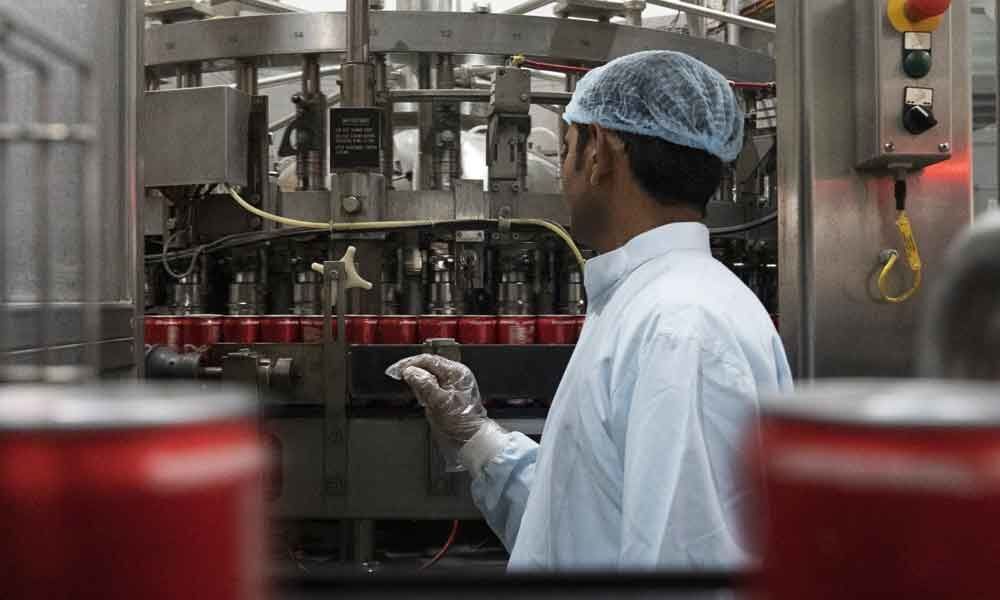 Indias manufacturing sector growth gains momentum in May: PMI