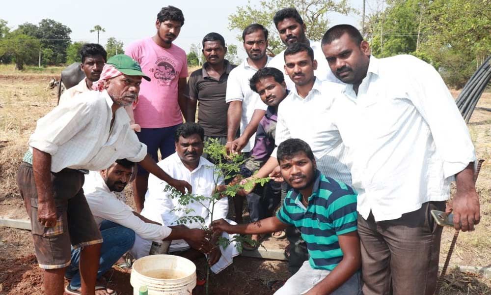 Youth take up plantation drive