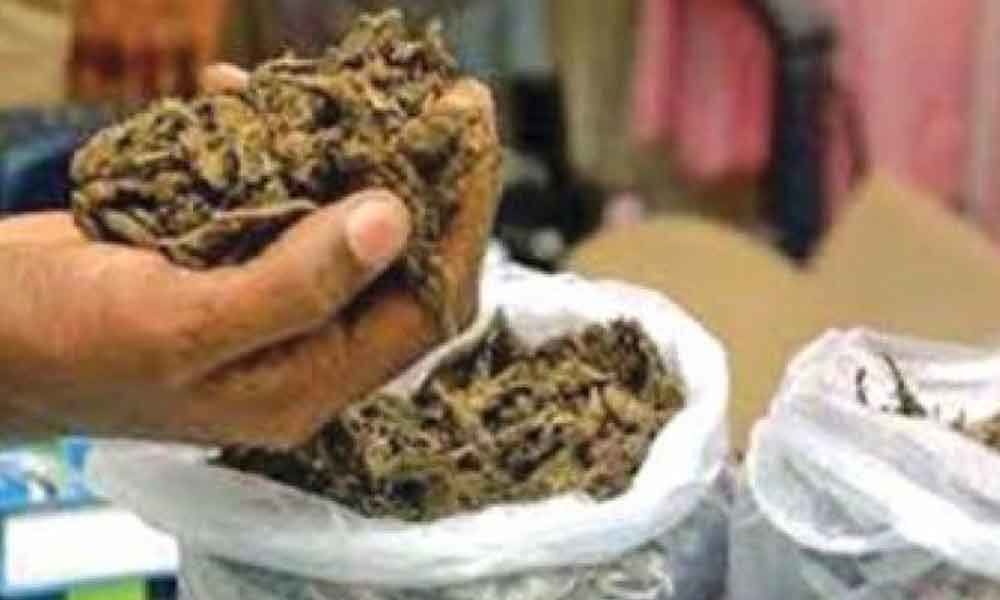 200 kg ganja seized in Old City