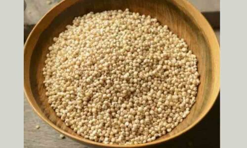 A big push for cultivation of millets