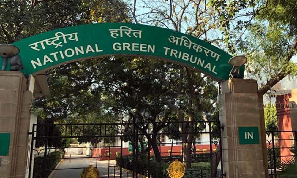 NGT asks Army to cooperate with Delhi Cantonment Board to implement solid waste rules