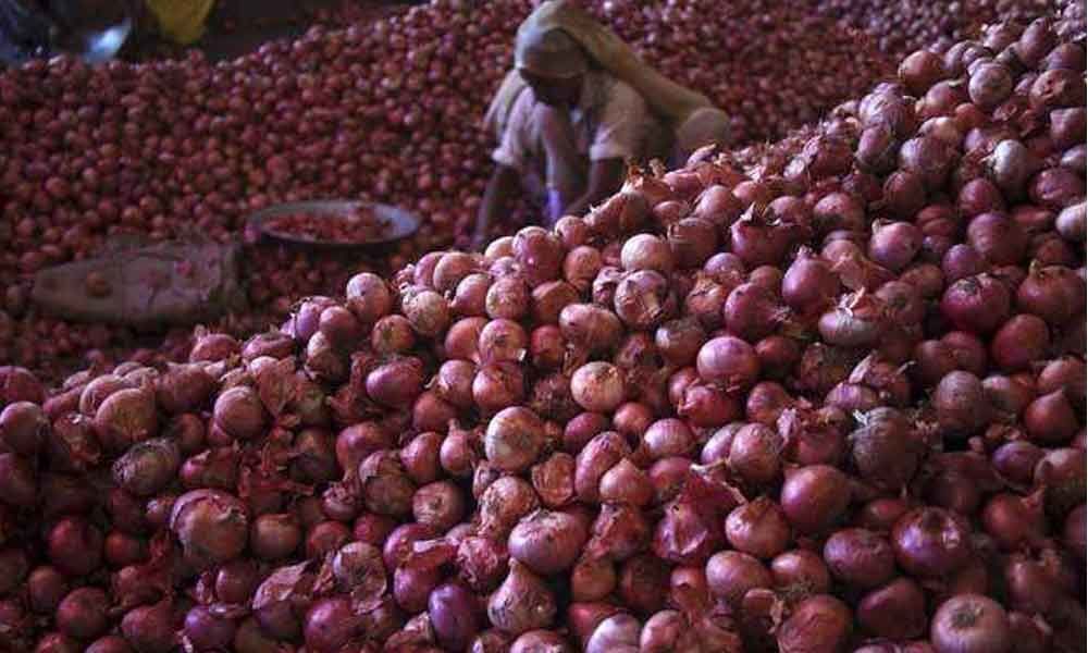 Centre creating onion buffer to curb price rise