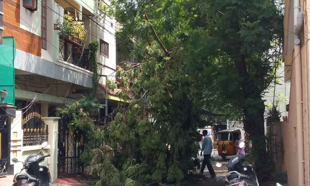 Heavy rains, winds wreak havoc in city