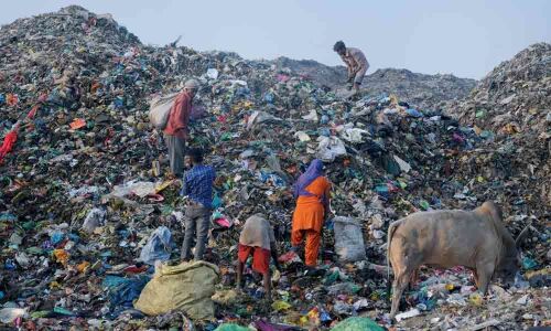 Controlling air pollution essential for economic development