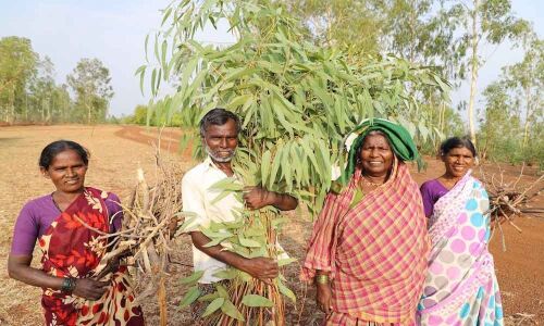 Deccan Development Society women secure prestigious UN award
