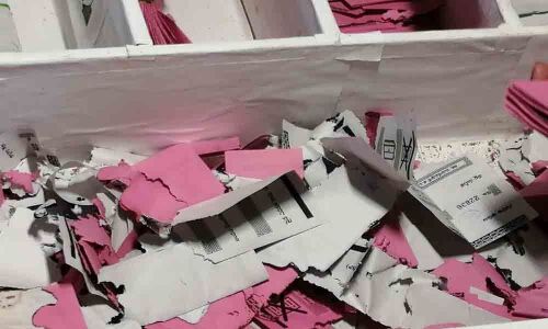 Termites eat ballot papers in Bhupalpally