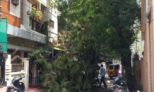 Heavy rains, winds wreak havoc in city