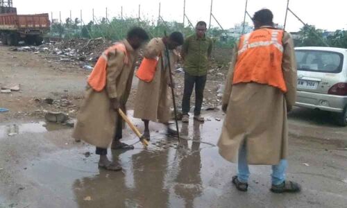 GHMC teams clear water stagnation, fallen trees