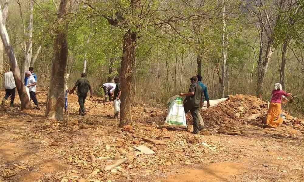 Plastic waste cleared from Nagara Vanam