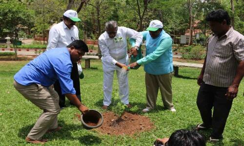 Everything in nature created with a purpose