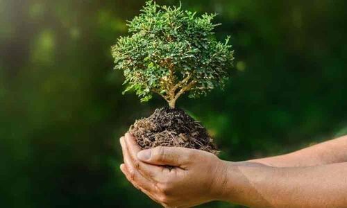 World Environment Day: Leaders pledge to save planet