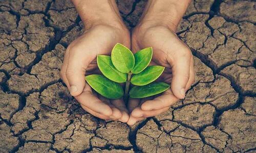 Municipal staff pledge to save environment