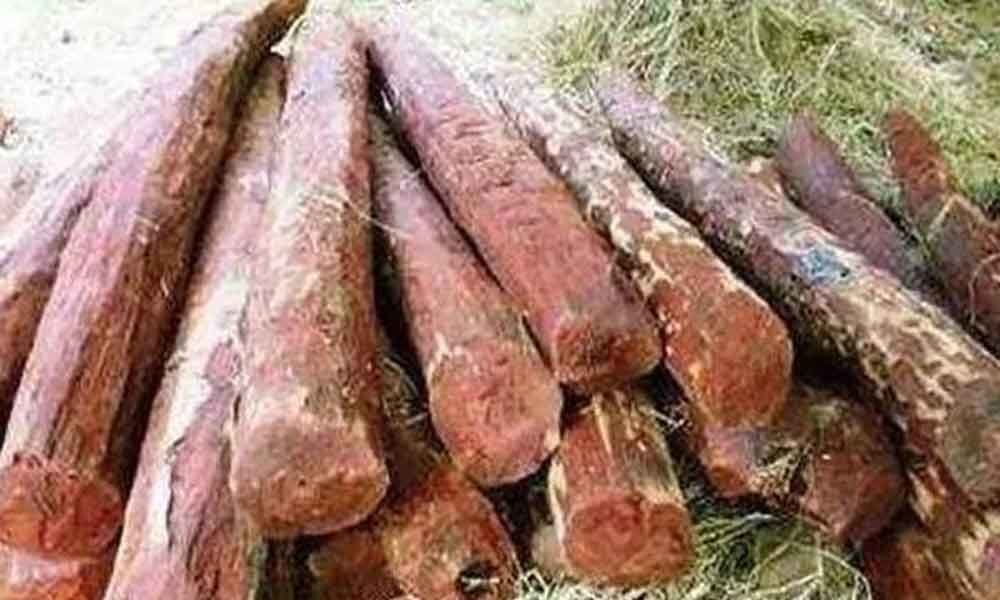 Sandalwood smuggler possessing 2 crores worth wood arrested in New Delhi