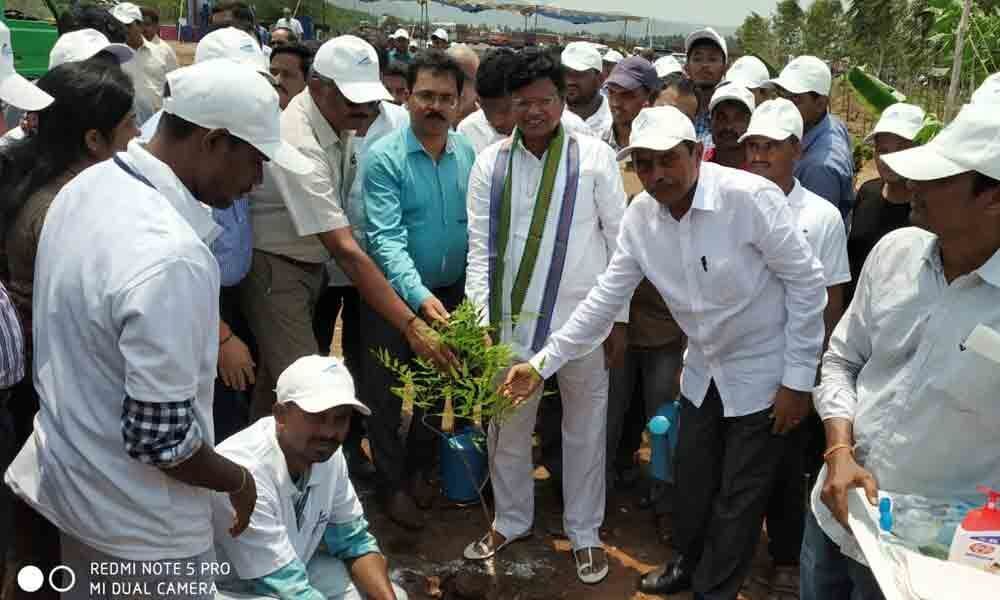 Gangavaram Port celebrates World Environment Day