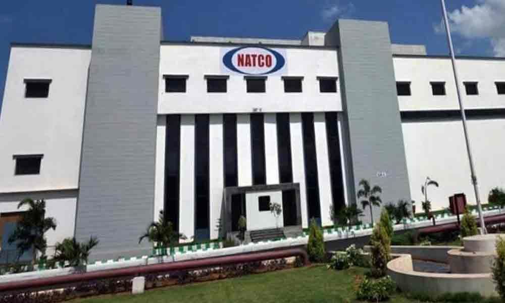 FDA issues 9 observations to Natcos Kothur unit