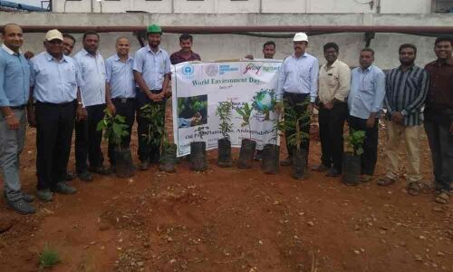 4,000 saplings distributed on World Environment Day