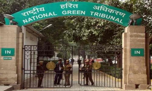 Green body raps DPCC for inaction over plastic burning